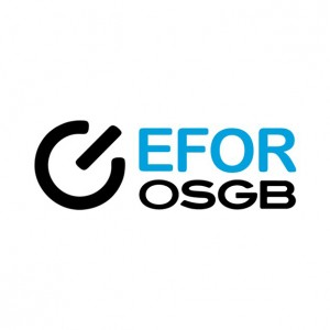 Efor OSGB